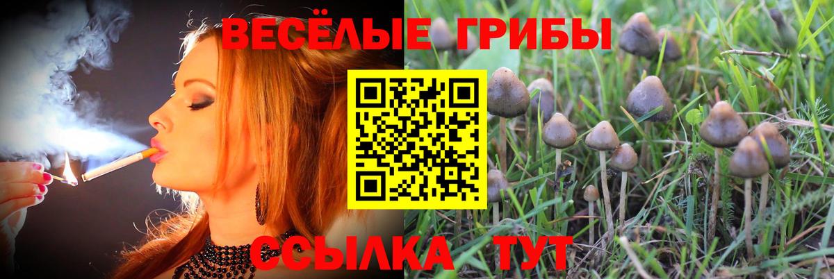 Галлюциногенные грибы мухоморы Валуйки