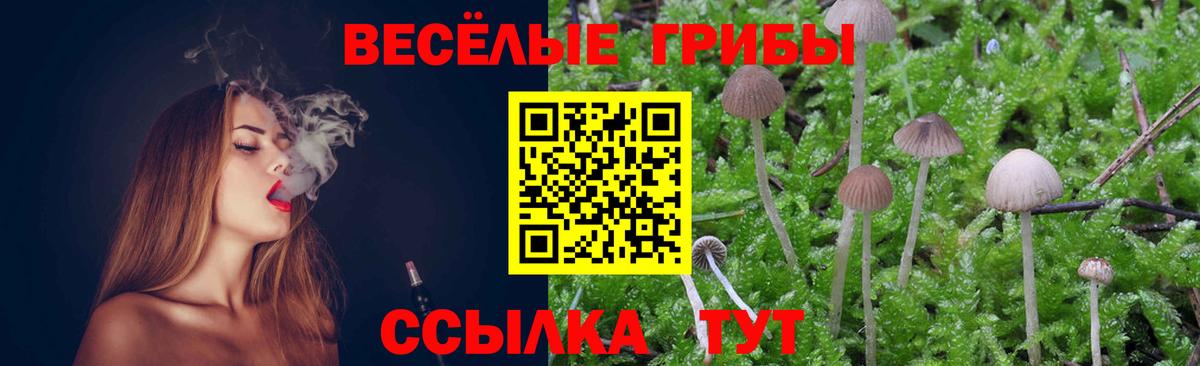 Валуйки  Галлюциногенные грибы Psilocybine cubensis  Вход с VPN 